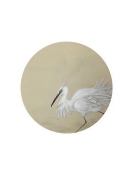 An Egret