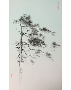 A Graceful Pine Tree