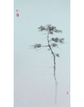 A Beautiful Pine Tree