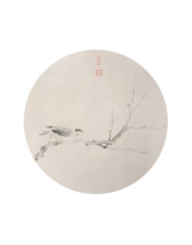 A Bird Ready To Hunt