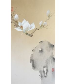 Elegant Magnolia Denudata