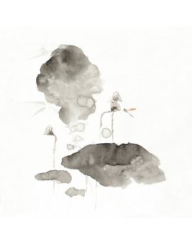 Dragonfly Playing In Lotus Pond